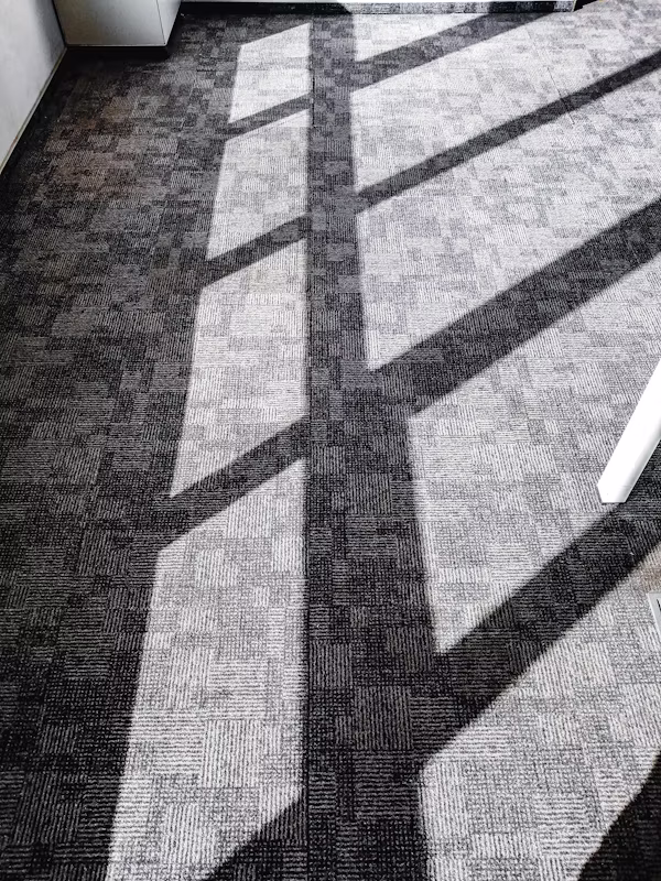 Carpet Cleaning Services in Faizabad, UP