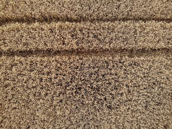 Rug restoration Faizabad